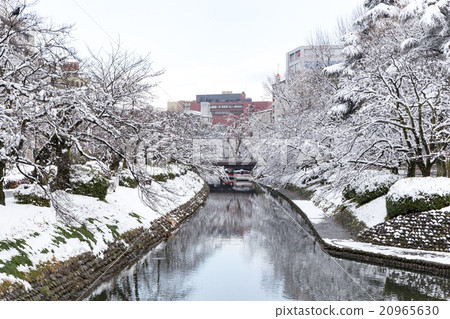 雪松火山口 20965630