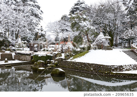 Snow pine crater Snow pine crater 20965635