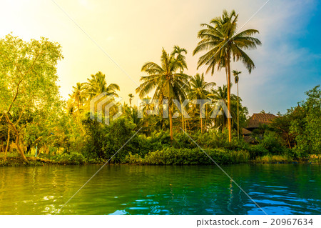 Palm trees on sea shore at beautiful sunny day. Palm trees on sea shore at beautiful sunny day. 20967634