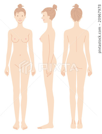 女性身體正面景觀後部裸露 20967978