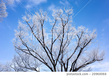  有霧的冰 20968068