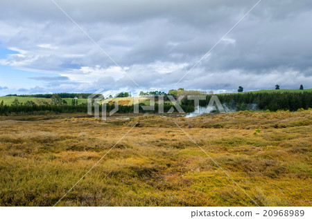 The Craters of the Moon in New Zealand 20968989
