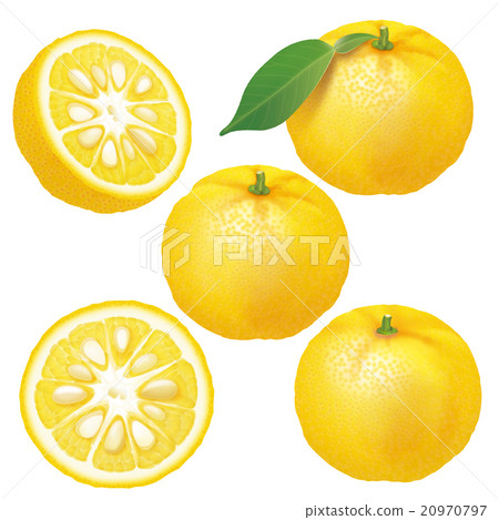 Yuzu Yuzu 20970797