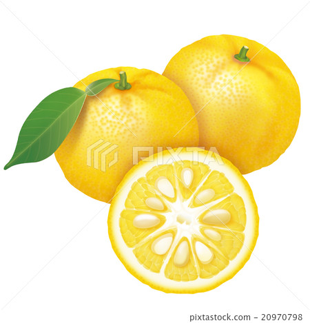 Yuzu Yuzu 20970798