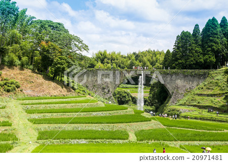 Xunibashi summer 20971481