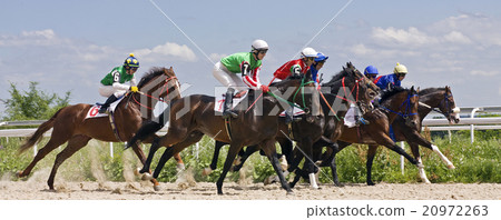 Horse racing Horse racing 20972263