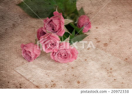 Roses flowers branch 20972338