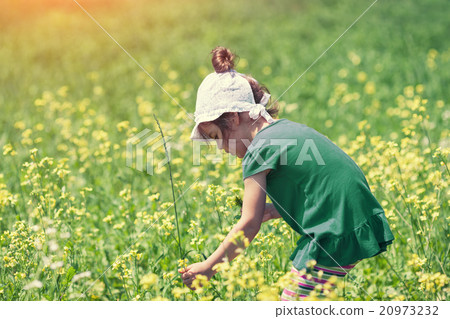 Little girl picking flowers in the meadow 20973232