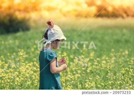 Little girl picking flowers in the meadow 20973233