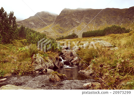 vintage landscape of tatra mountains 20973299
