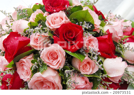 Bouquet of roses, bouquet of roses 20973531
