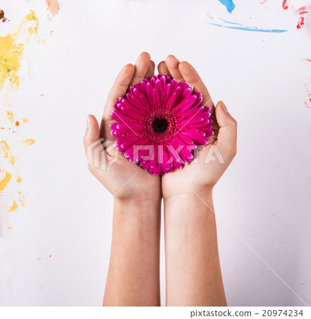 Flower concept Flower concept 20974234