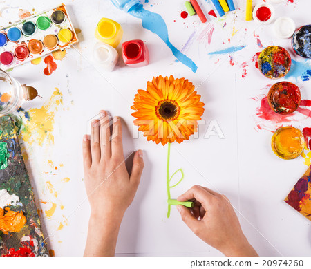 Flower concept Flower concept 20974260