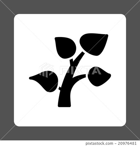 Plant Rounded Square Button Plant Rounded Square Button 20976481