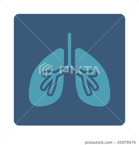 Lungs Rounded Square Button Lungs Rounded Square Button 20979078