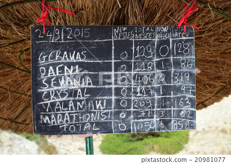 Turtles' nests information table Turtles' nests information table 20981077
