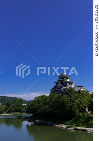 岡山城堡_藍天 20981229