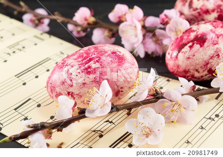 Decorated Easter eggs and cherry blossom tree 20981749