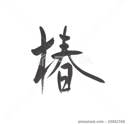 山茶花山茶花 20982388