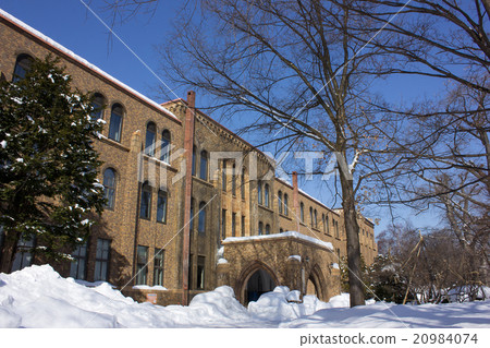 北海道大學,北海道大學,北海道大學綜合博物館,冬天 北海道大學,北海道大學,北海道大學綜合博物館,冬天 20984074