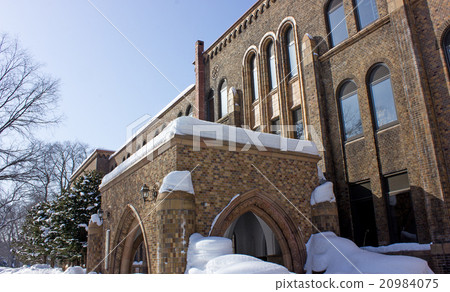 北海道大學，北海道大學，北海道大學綜合博物館，冬天 20984075