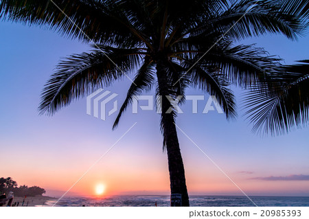 [Hawaii] Evening view of Oahu / Sunset Beach 20985393