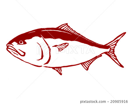 黃尾魚的插圖 20985916