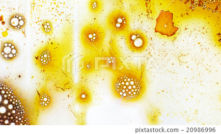 Curlicue of Paints Curlicue of Paints 20986996