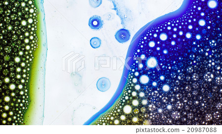 Curlicue of Paints Curlicue of Paints 20987088