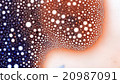 Curlicue of Paints 20987091