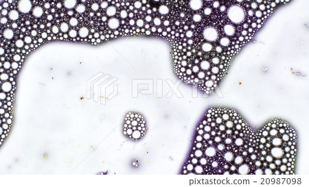 Curlicue of Paints 20987098