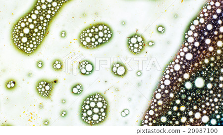 Curlicue of Paints 20987100