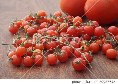 微番茄小番茄 20987752