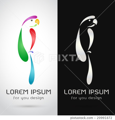 Vector image of an parrot design - Stock Illustration [20991872] - PIXTA