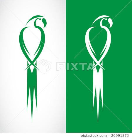 Vector image of an parrot design Vector image of an parrot design 20991873