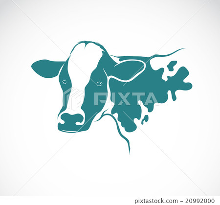 Vector image of an cow on white background Vector image of an cow on white background 20992000