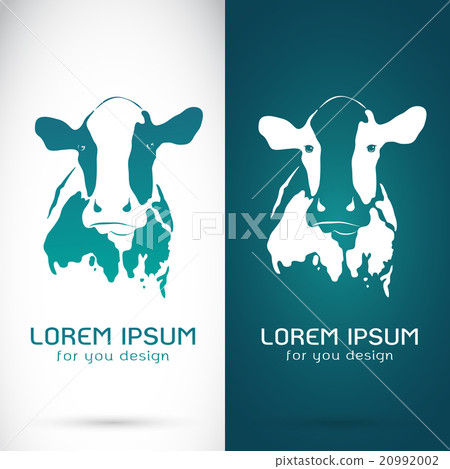 Vector image of an cow Vector image of an cow 20992002