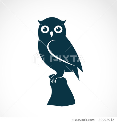 Vector image of an owl on white background 20992012