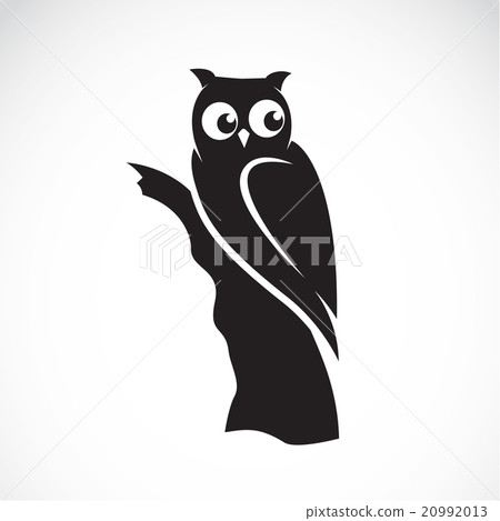 Vector image of an owl on white background Vector image of an owl on white background 20992013
