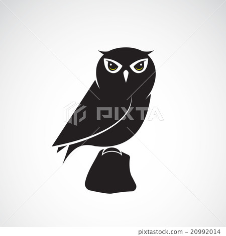 Vector image of an owl design on white background Vector image of an owl design on white background 20992014