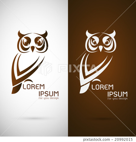 Vector image of an owl design Vector image of an owl design 20992015