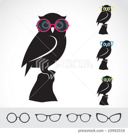 Vector images of owl and glasses  20992016