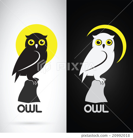 Vector image of an owl design 20992018