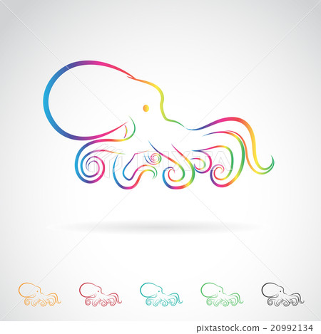 Vector image of an octopus on white background. 20992134