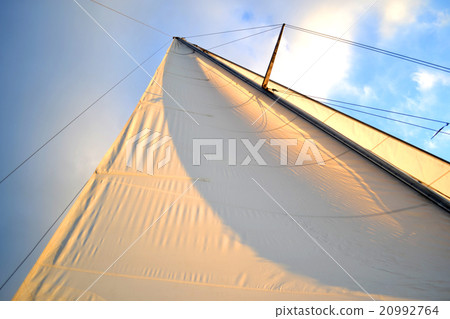 white sail 20992764