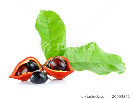 sweet chestnuts (Sterculia monosperma) on white  20993841