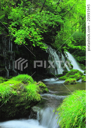 秋田縣夏天前瀑布淹沒了水 秋田縣夏天前瀑布淹沒了水 20993945