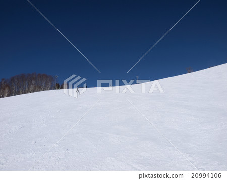 北海道二世古滑雪場 20994106