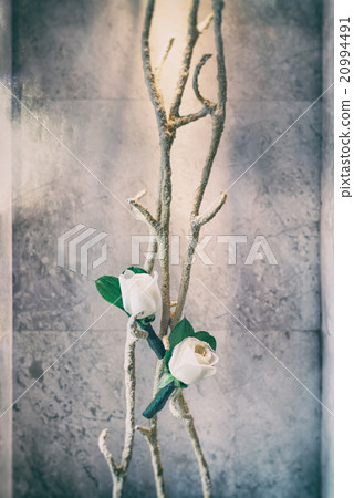 Vintage roses 20994491