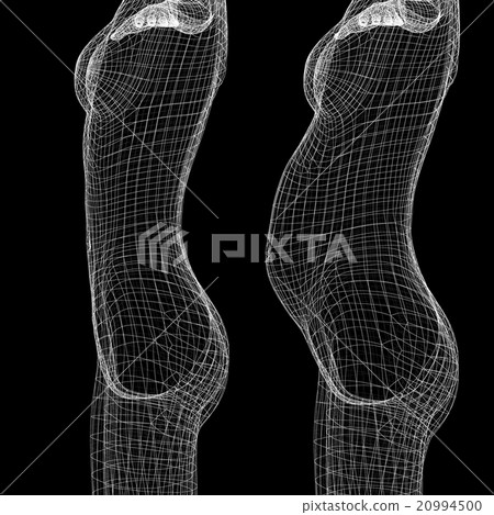 女性身體線框perming3DCG插圖素材 20994500
